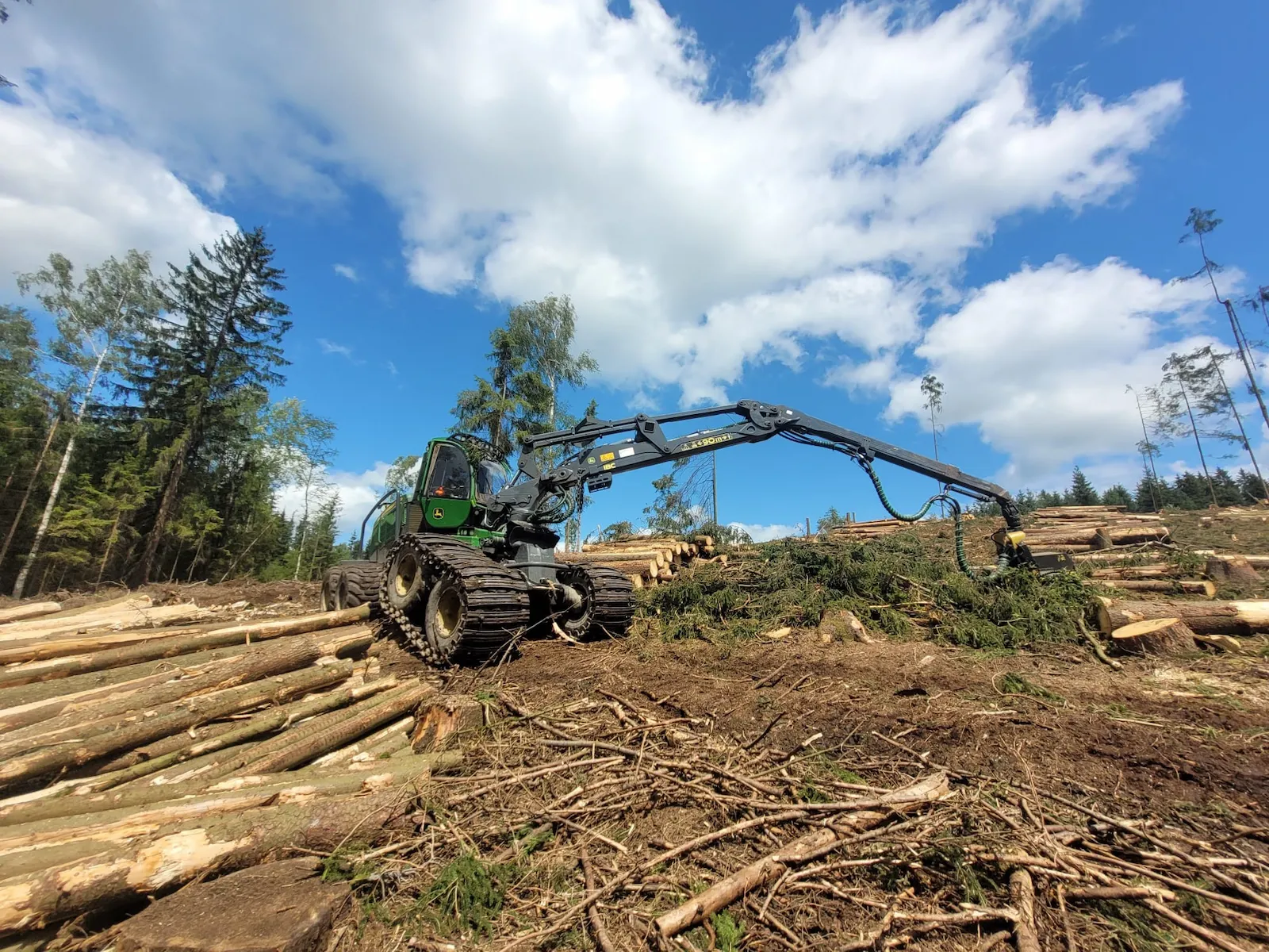 Harvester bei der Aufarbeitung im Fichtenbestand