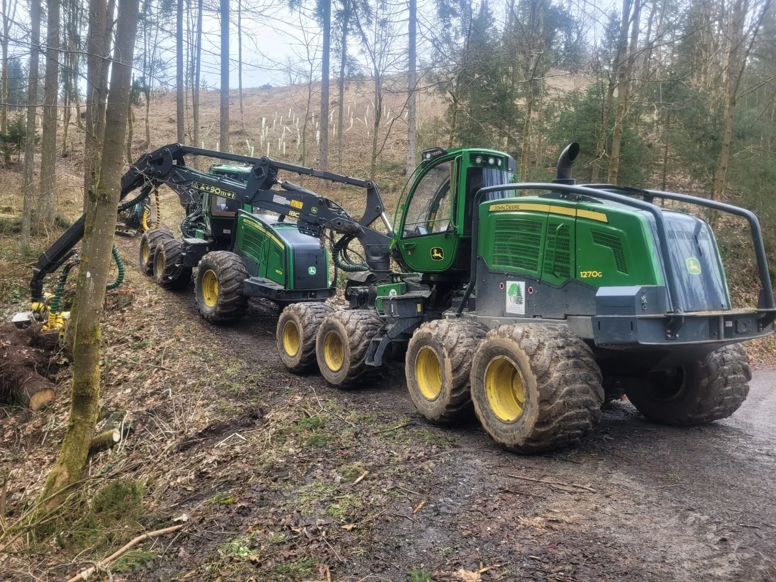 Holzpolter am Waldweg, bereit zur Abfuhr