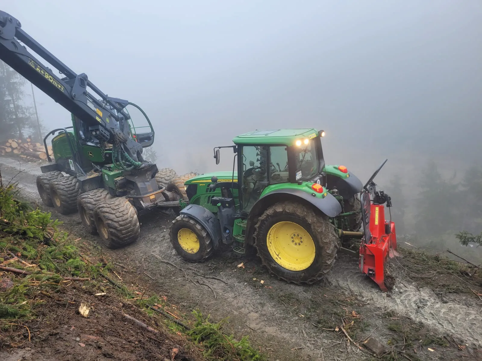 Harvester fällt und entastet einen Fichtenstamm