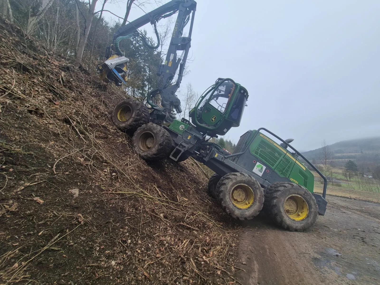 Holzernte mit dem Harvester im Frankenwald