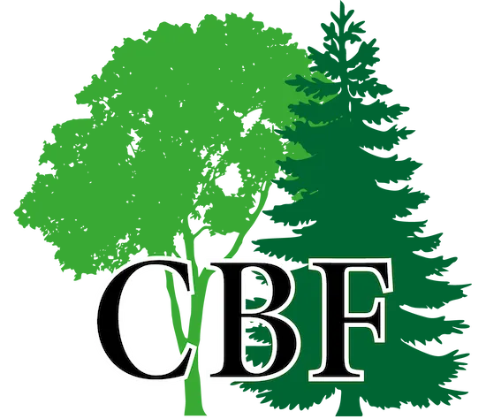 Logo Christian Böhm Forstbetrieb